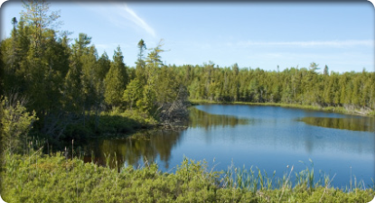 pond